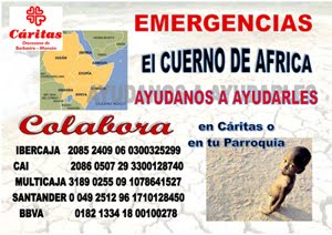cartel Cuerno de africa