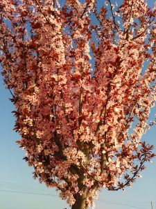 IMG_20170315_094537