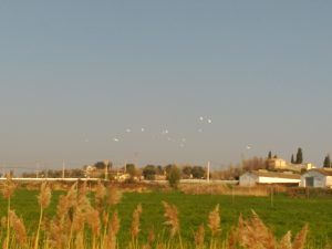 IMG_20170315_094943
