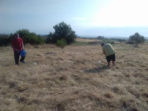 IMG_20170531_093235
