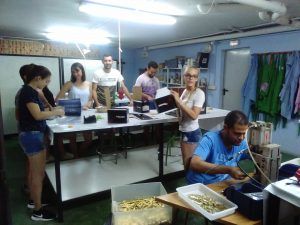 IMG_20170720_120142